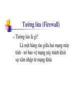 Chương 4 : Firewall , mã hóa , virus