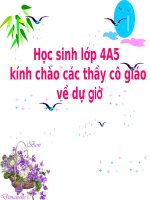 dieu uuc cua vu mi-dat