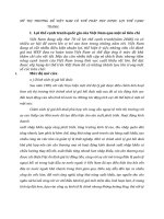 MỸ THỊ TRƯỜNG ĐỂ VIỆT NAM CÓ THỂ PHÁT HUY ĐƯỢC LỢI THẾ CẠNH TRANH