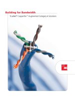 Building for Bandwidth