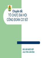 TỔ CHỨC ĐẠI HỘI CĐCS