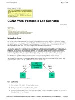 CCNA WAN Protocols Lab Scenario