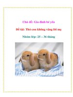 Chủ đề: Gia đình bé yêu - Đề tài: Thỏ con không vâng lời mẹ - Nhóm lớp: 25 – 36 tháng
