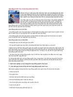 Hợp đồng quyền chọn và phương pháp hạch toán