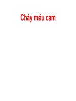 Phòng chống chảy máu cam