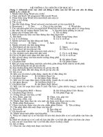 CAU HOI ON TAP TIN 6