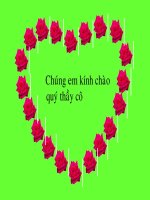 bai 8: Quang hợp và các nhóm thực vật