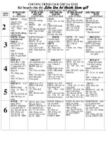 Kế hoạch chủ đề: Bé thích làm nghề gi? (15/11-18/12- 2010)