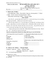 DeKt + Dap an T TV 4-5 GHKI(2010-2011) Ap dung hay