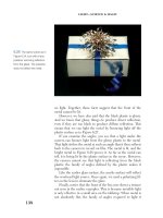 Light—Science & Magic- P4