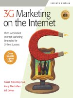 3G Marketing on the Internet