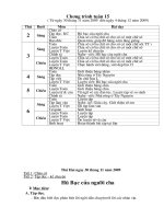 Tuần 15 Lớp 3 CKTKN