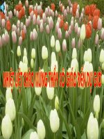 Bài 10. Giữ gìn và phát huy truyền thống tốt đẹp của gia đình và dòng họ