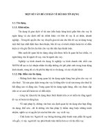 MỘT SỐ VẤN ĐỀ CƠ BẢN VỀ RỦI RO TÍN DỤNG