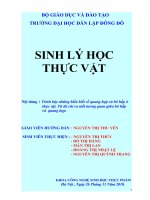 Sinh li thực vật