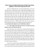 Thực trạng hoạt động Marketing tại Ngân hàng Nông nghiệp và Phát triển Nông thôn Hà nội