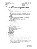 ho hap va co quan ho hap