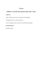 CHÍNH TẢ - NGƯỜI VIẾT TRUYỆN THẬT THÀ