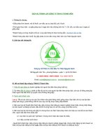 Dich vu thanh lap cong ty TNHH 2 thanh vien