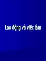 lao dong va viec lam . hay that