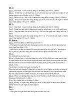 kiem tra 1 tiet sinh 8 ki I