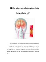 Thiểu năng tuần hoàn não, chữa bằng thuốc gì?