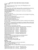 Hệ thống kiến thức T.Việt TH