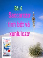 Saccarozo tinh boệt và xenlulo
