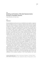 Modeling and Simulation of Microbial Depolymerization Processes of Xenobiotic Polymers