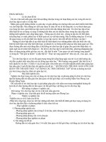 sang kiến kimh nghiệm