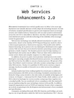 Web Services Enhancements 2.0