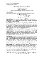 đề thi hsg khối 12