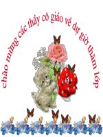 Tập làm văn - Tuần 11