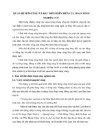 Quan hệ hình thái và đặc điểm diễn biến của đoạn sông nghiên cứu.