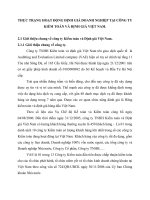 THỰC TRẠNG HOẠT ĐỘNG ĐỊNH GIÁ DOANH NGHIỆP TẠI CÔNG TY KIỂM TOÁN VÀ ĐỊNH GIÁ VIỆT NAM