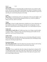 Từ điển chứng khoán Chủ đề V-W