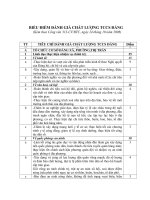 BIỂU ĐIỂM ĐÁNH GIÁ TCCSĐ NĂM 2008