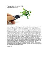 Phòng tránh virus cho USB