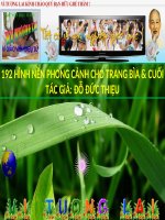 Hình nền phong cảnh D