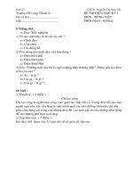 Đề thi môn toán và TV giữa HKI lớp 2 năm 2010-2011