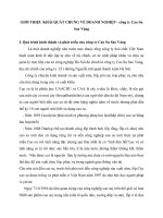 GIỚI THIỆU KHÁI QUÁT CHUNG VỀ DOANH NGHIỆP - công ty Cao Su Sao Vàng