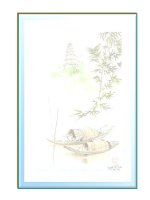 Giao an lop2 tuan 13 ( ckt- ky nang song)