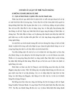 CƠ SỞ LÝ LUẬN VỀ THẺ NGÂN HÀNG