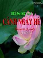 tiết 38 cảnh ngày hè (thao giảng)