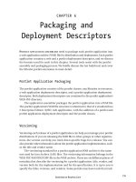 Packaging and Deployment Descriptors