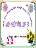 TIẾT 41- DANH TỪ -THAO GIẢNG (HAY)