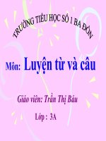 Luyện từ và câu lớp3