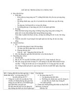 Giữ gìn sự trong sáng của tiếng Việt