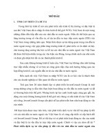 Báo cáo thực tập “Phát triển dịch vụ tư vấn pháp lý đối với các nhà đầu tư nước ngoài của Investconsult”