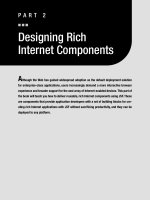 Using Rich Internet Technologies